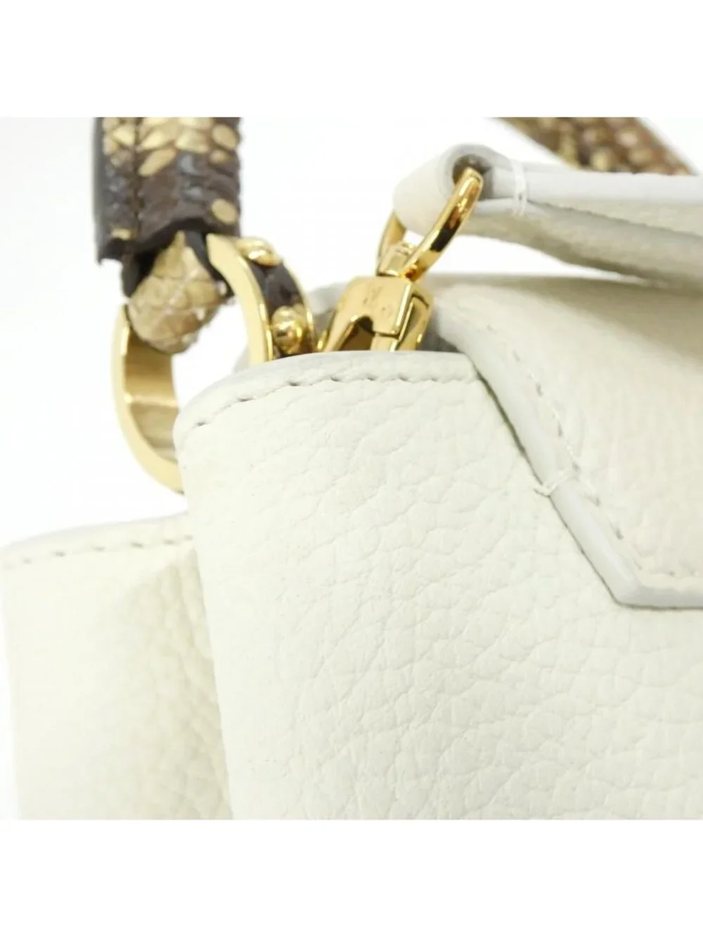 Louis Vuitton Exotic Leather Capucines Bag